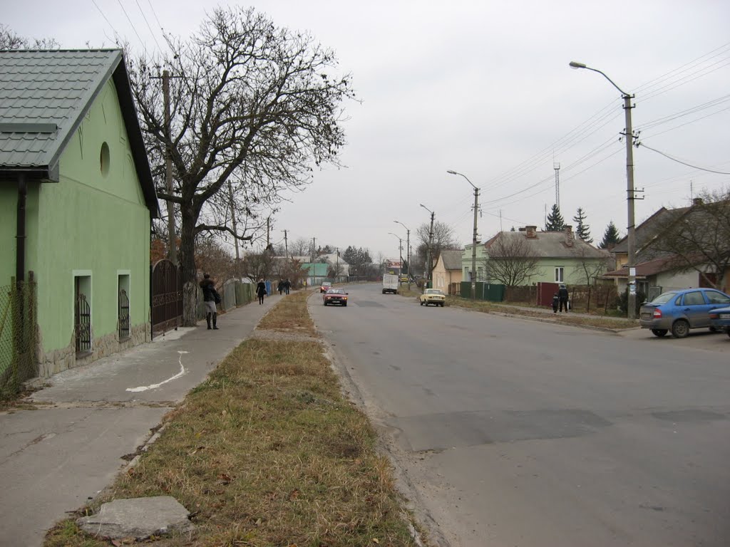 Винники, вул. Галицька / Vynnyky, Halytska str.