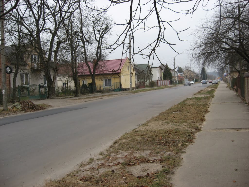 Винники, вул. Галицька / Vynnyky, Halytska str.