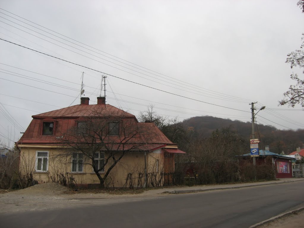 На виїзді з Винник / Vynnyky