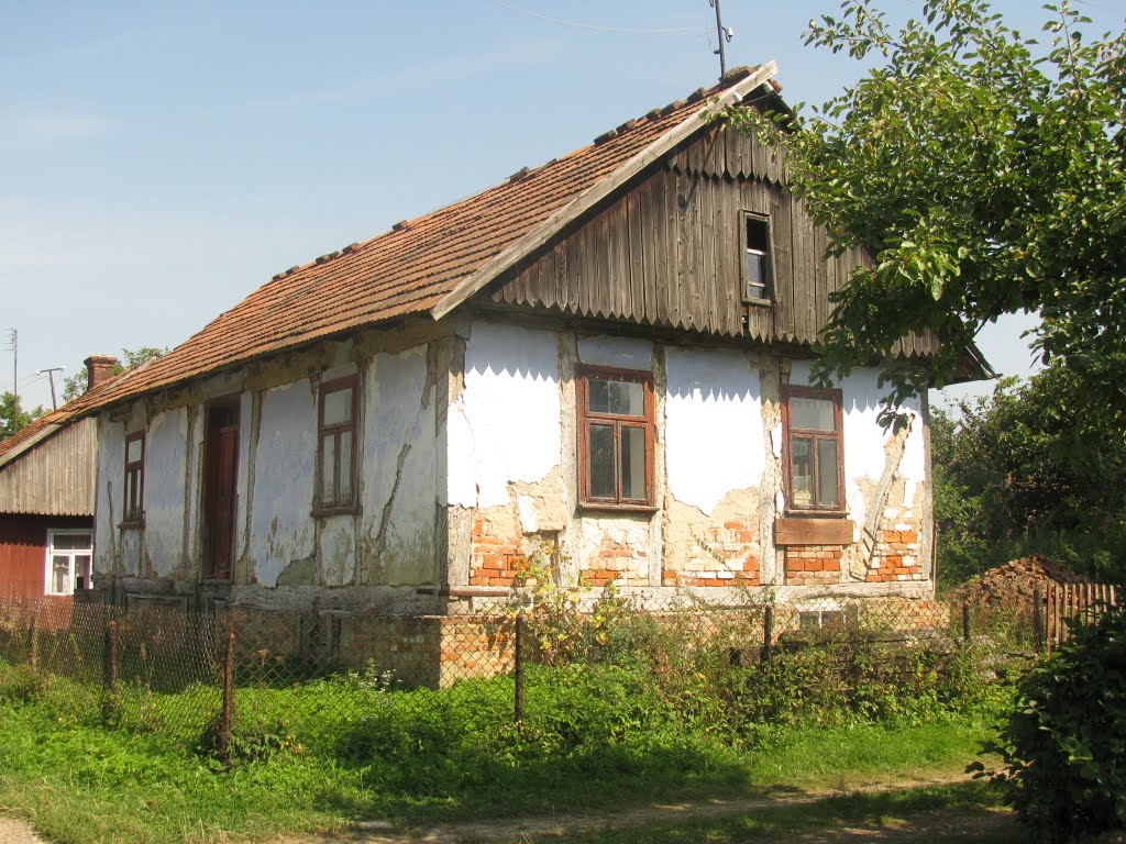 Дашавська старовина