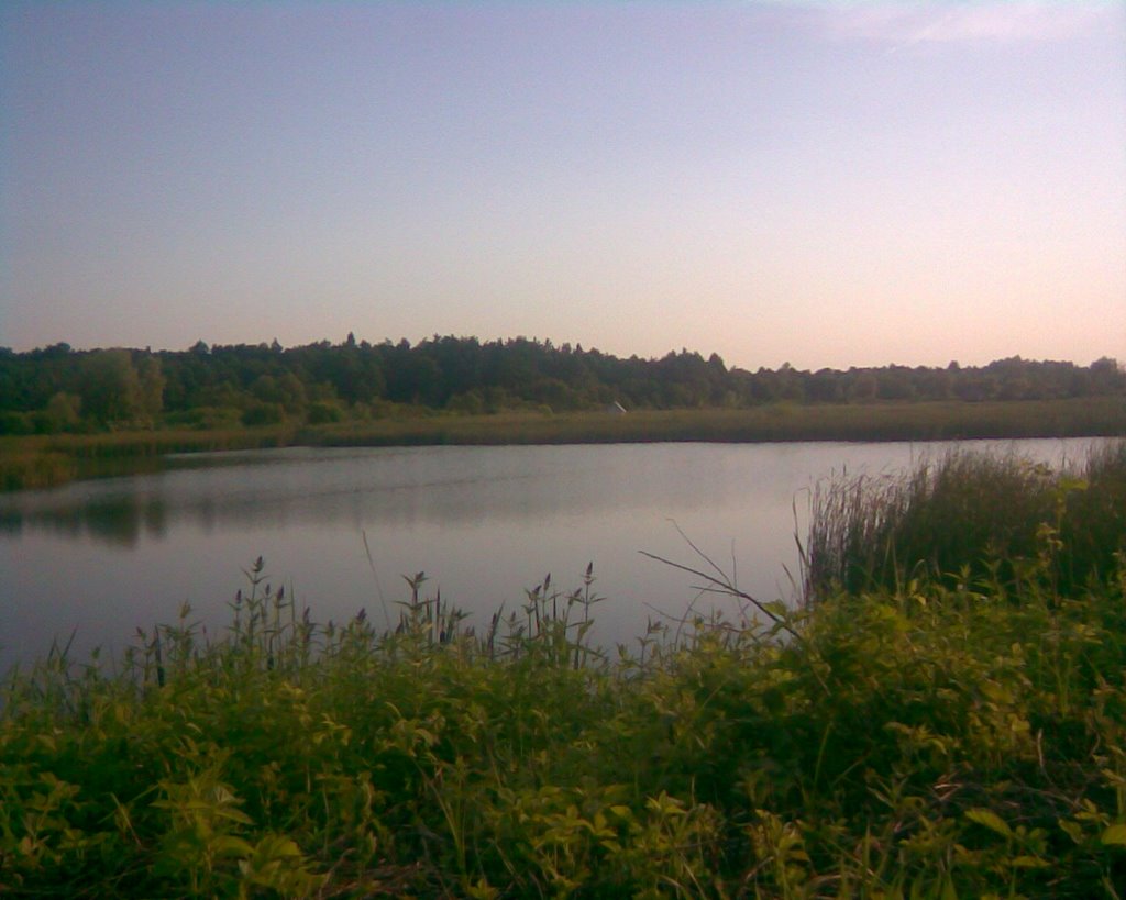 Lake near the dobrotvir