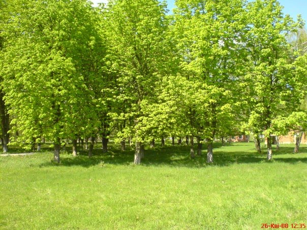 park zone