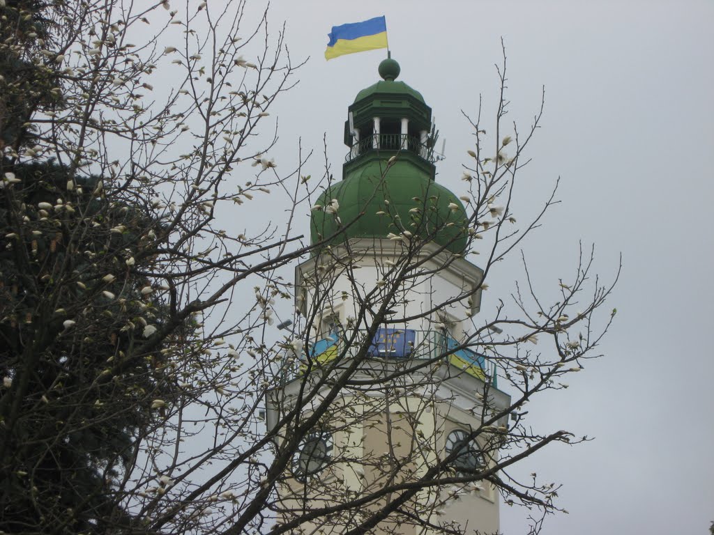 Дрогобич (Львівська обл.) - Вежа Міської Ратуші