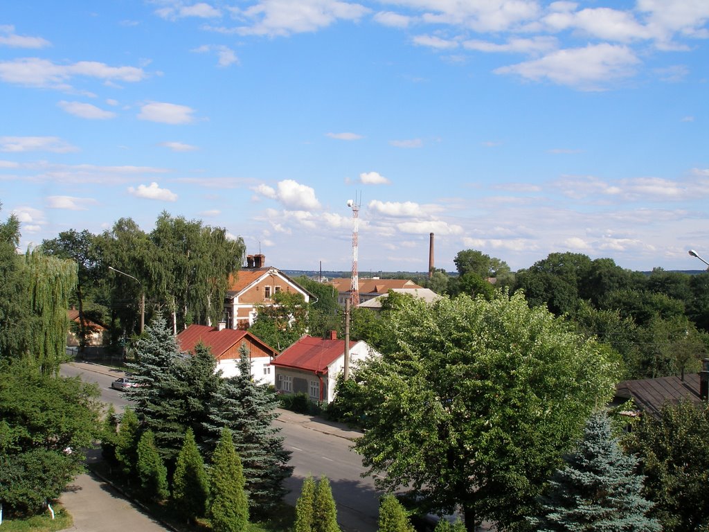 Stryjsska street in Drogobych