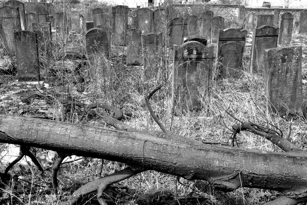 Drohobych (Ukr. Дрогобич, Pol. Drohobycz, Yidd. דראָהאָביטש) - Jewish cemetery