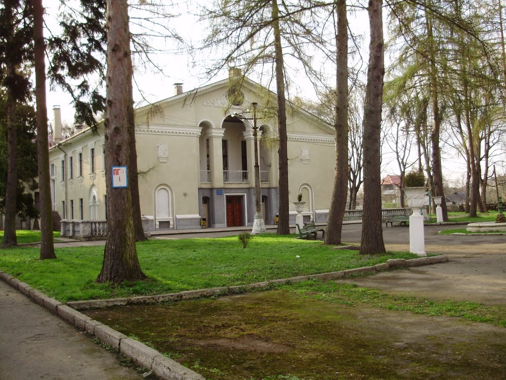 міський будинок культури "Папірник"