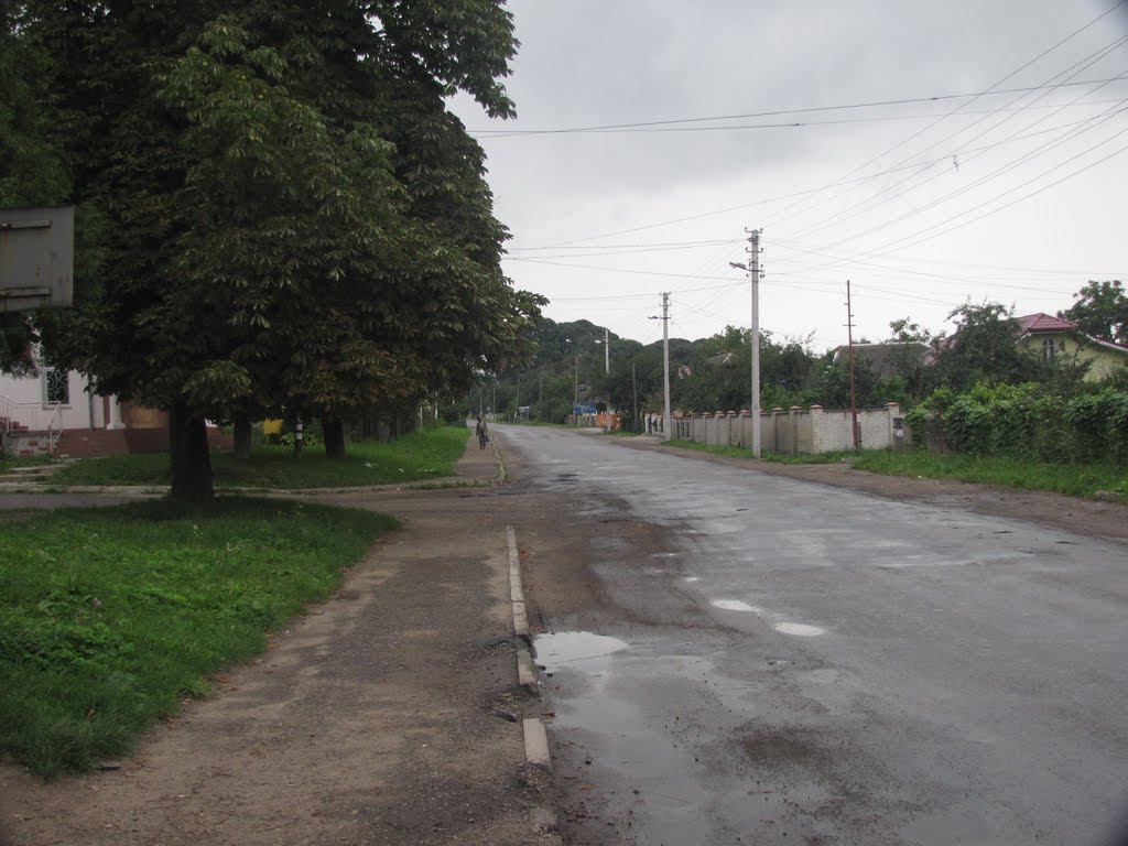 Жидачів, автовокзал дорога в центр