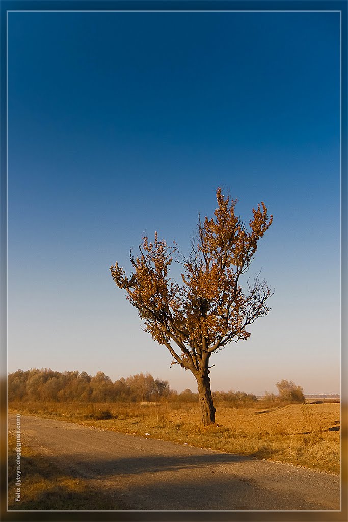 Кінець сезону