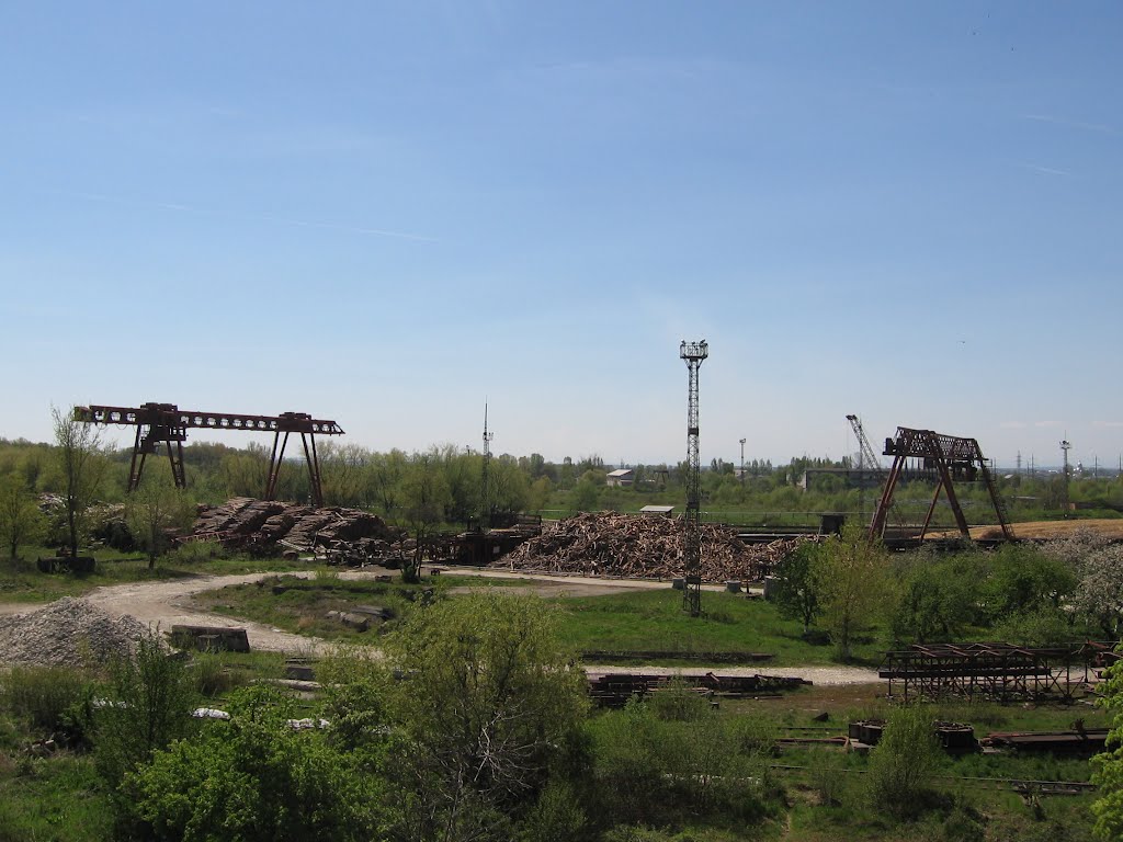 Лісна біржа