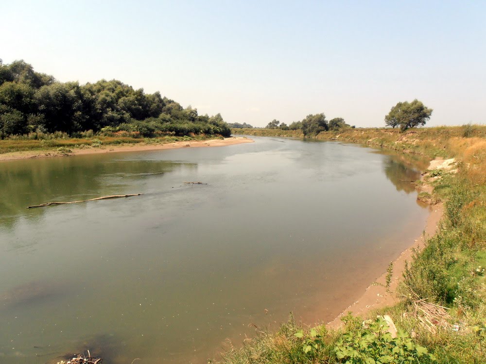 Stryi river