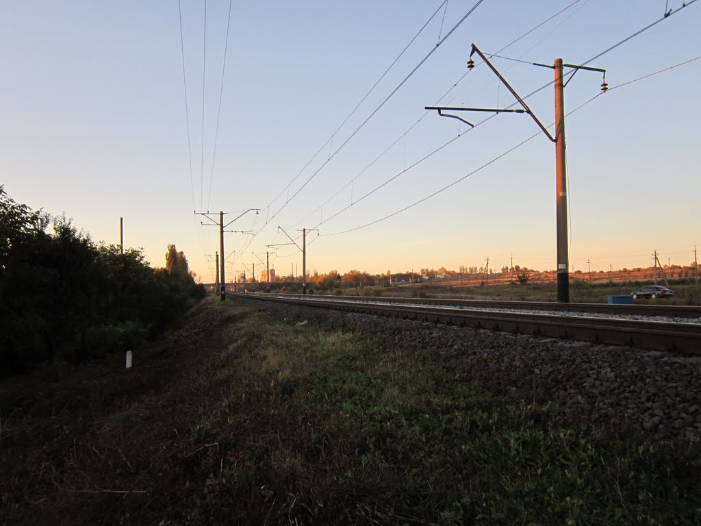 Колія