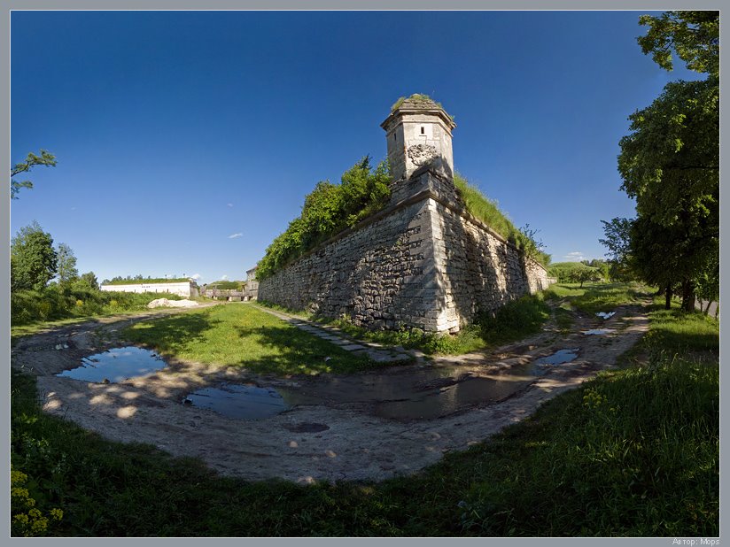 Замок, вежа (Castle tower)