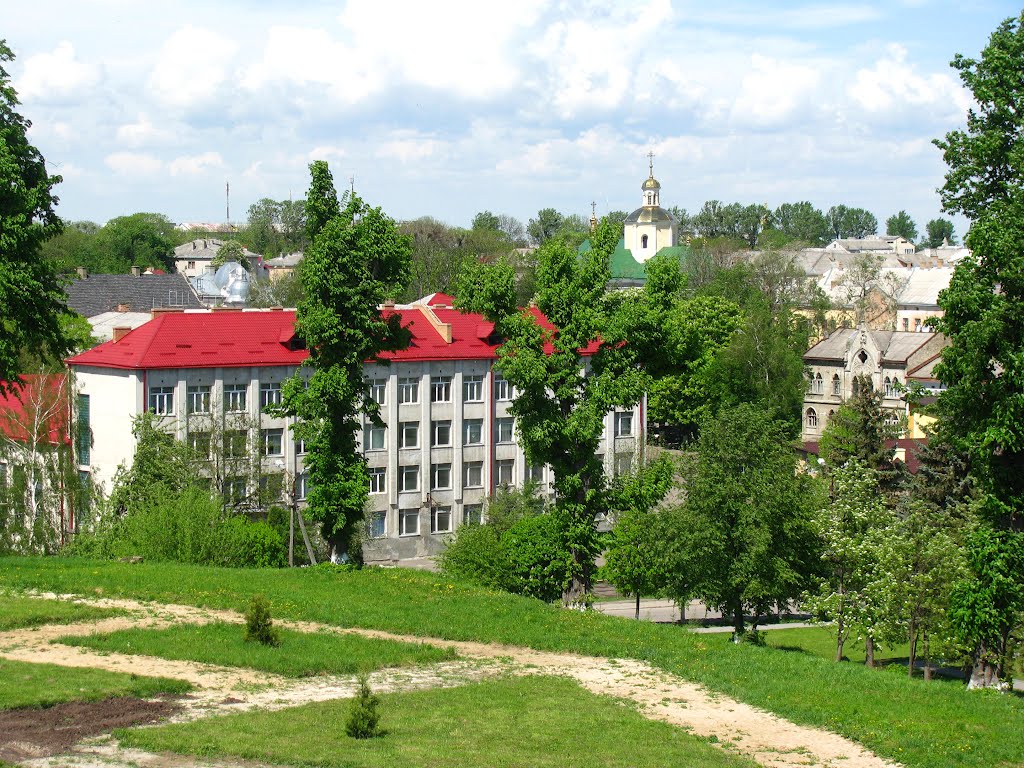 Вид на місто з Замку
