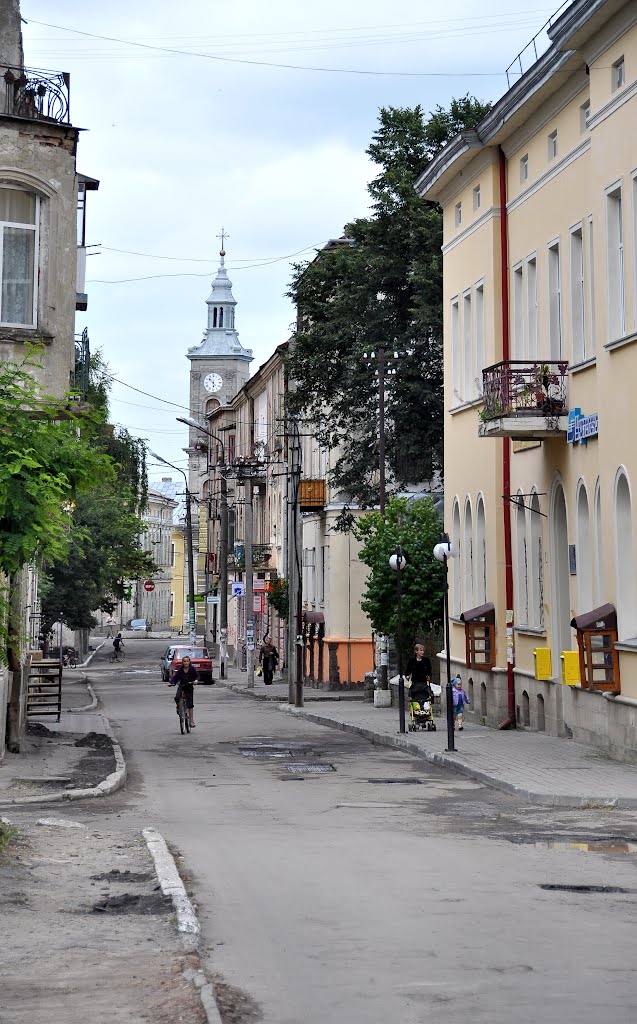 Pushkina street