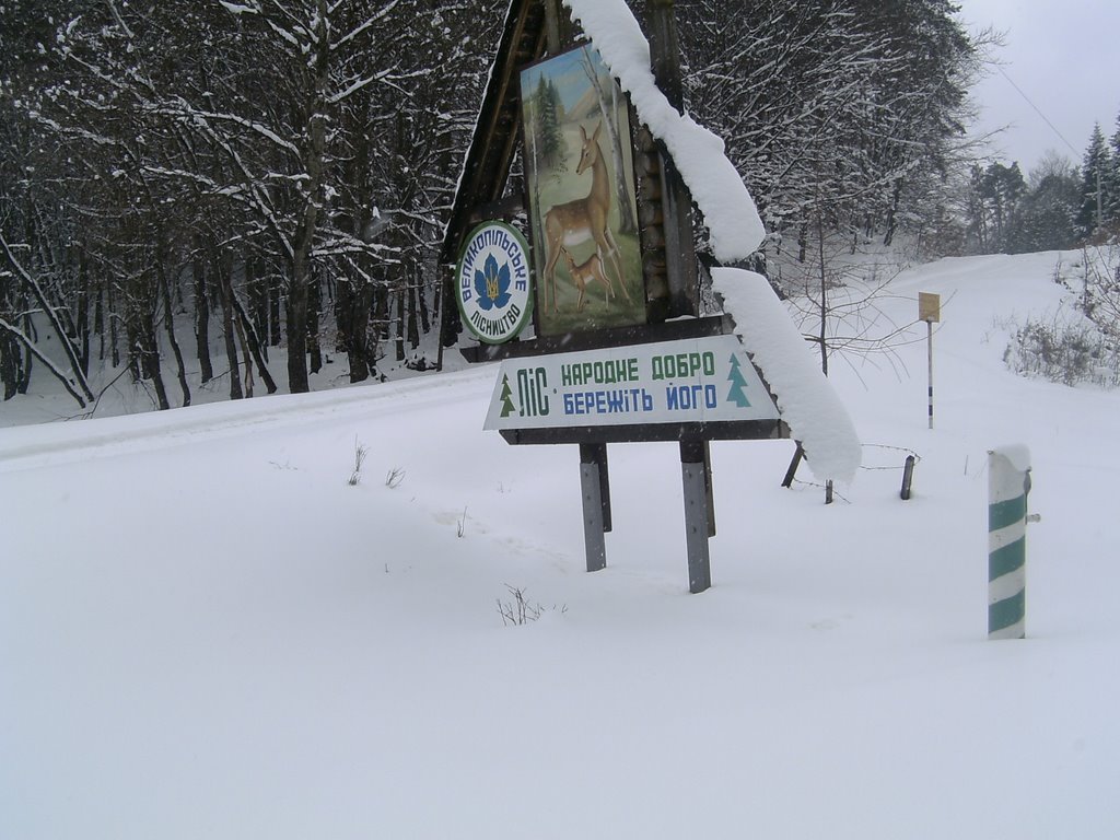 Дорога до вишки
