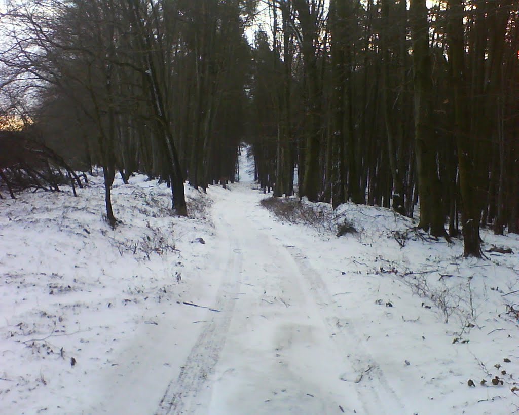Ivano-Frankove