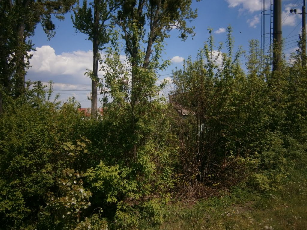 Kamyanka Bugska