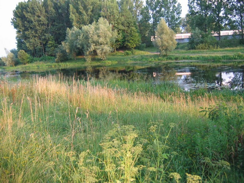 Каменка-Бугская, Львовская обл., Украина, Комсомольское озеро