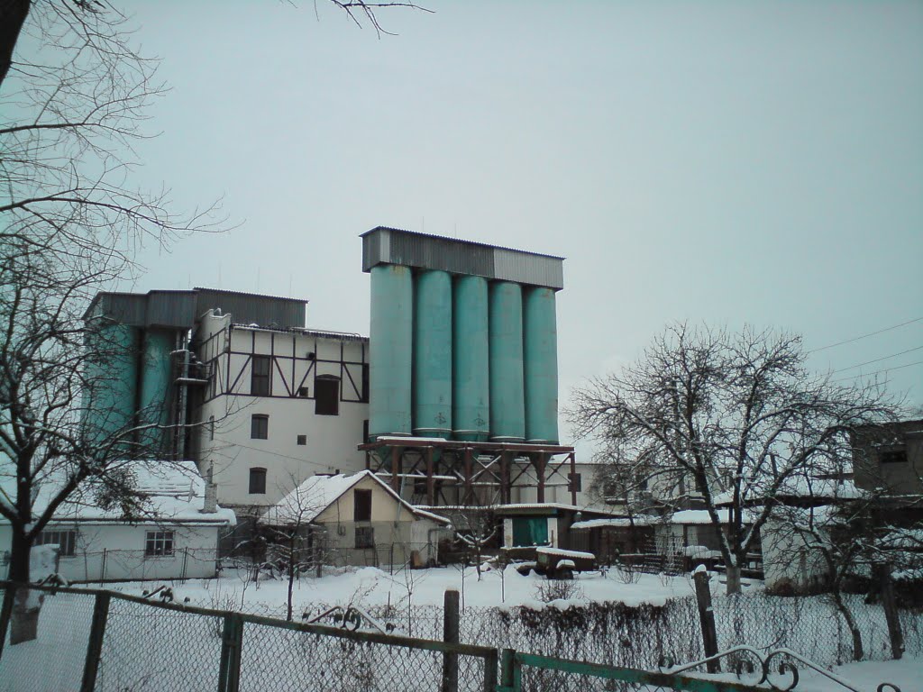 Завод зерна