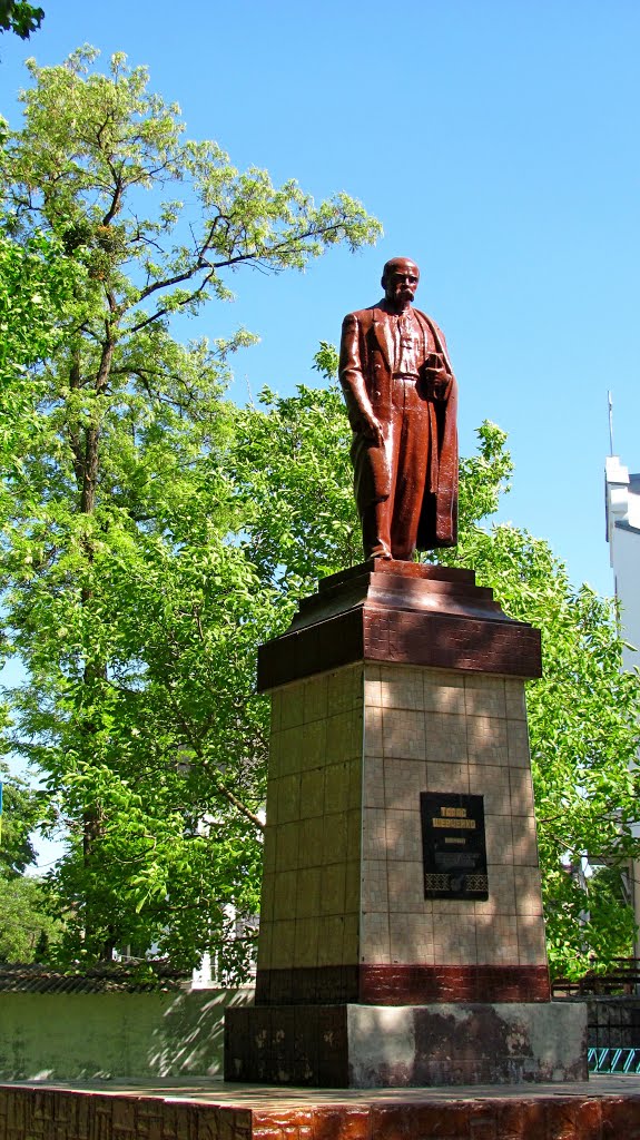 Памятник Кобзарю в парке им. Т.Г. Шевченко.