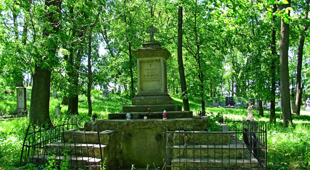 Гробница Bronislaw Wislocki 1864-1928гг.На городском кладбище 16-20ст.
