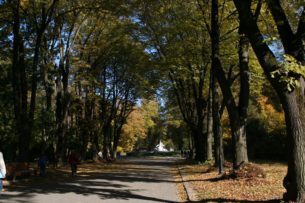 м. Львів. Стрийський парк.