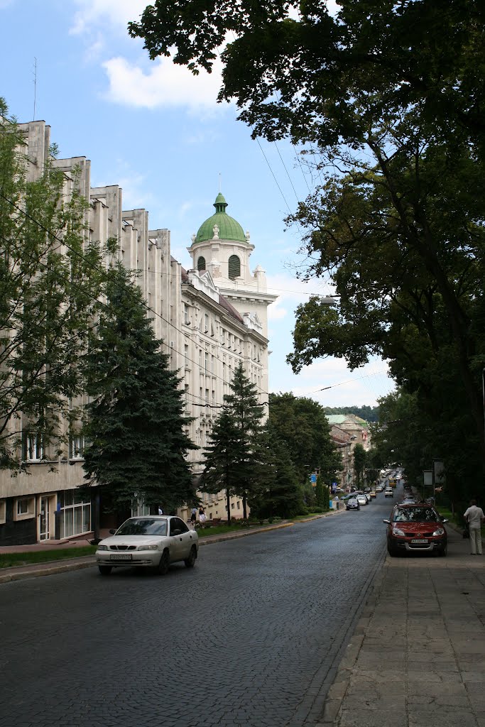 м. Львів. вул. Листопадового Чину.