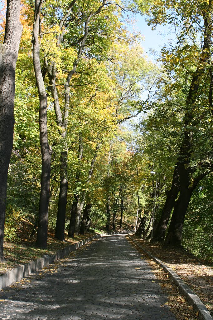 м. Львів. Високий замок.