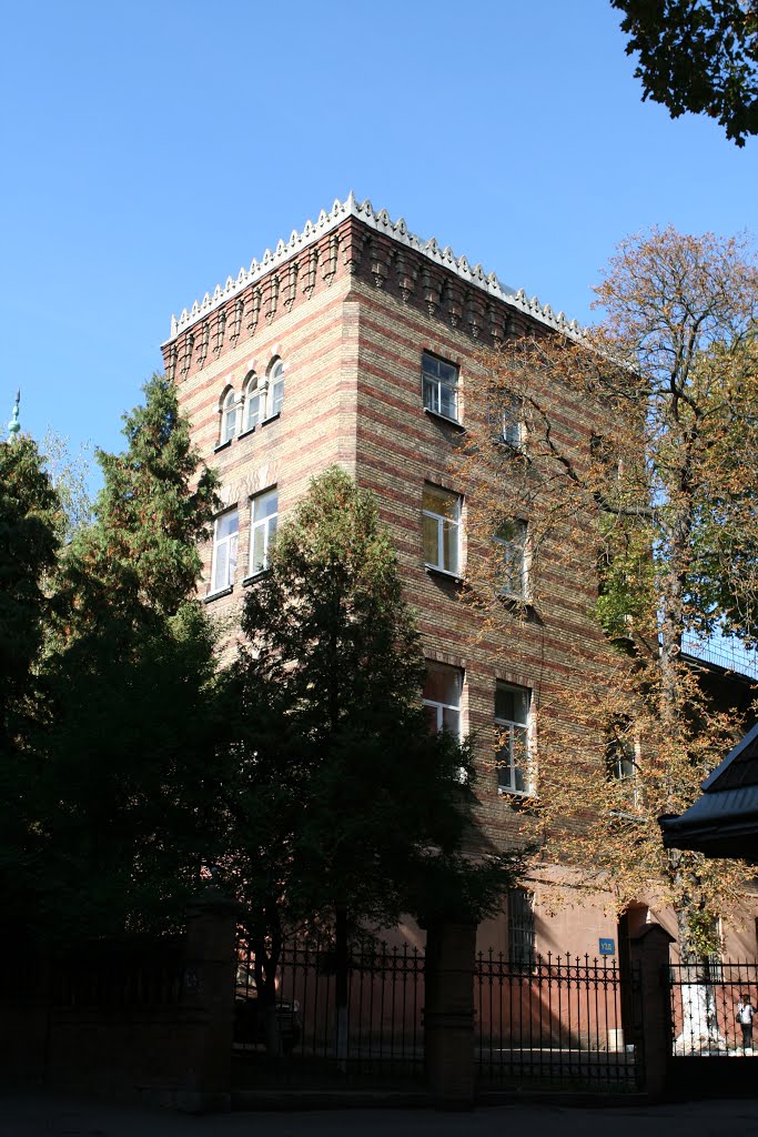 м. Львів, вул. Якова Рапопорта.