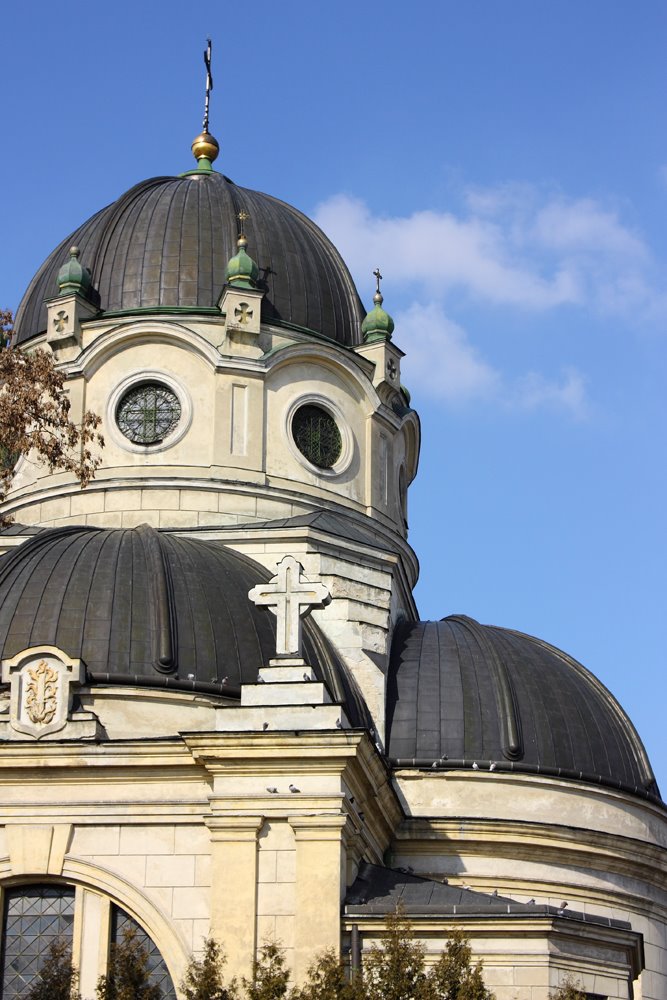 church.Zhovkva (церква Серця Христового)