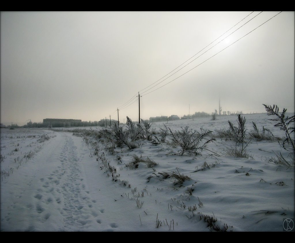 View_from_the_field