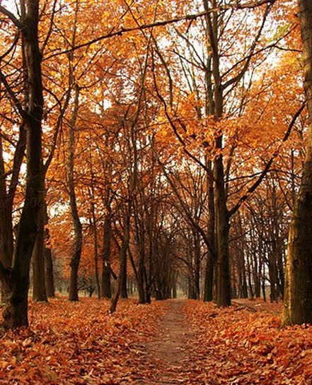 Autumn