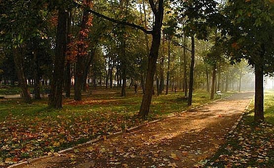 Park