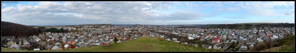 Панорама Николаева. Львовская область.