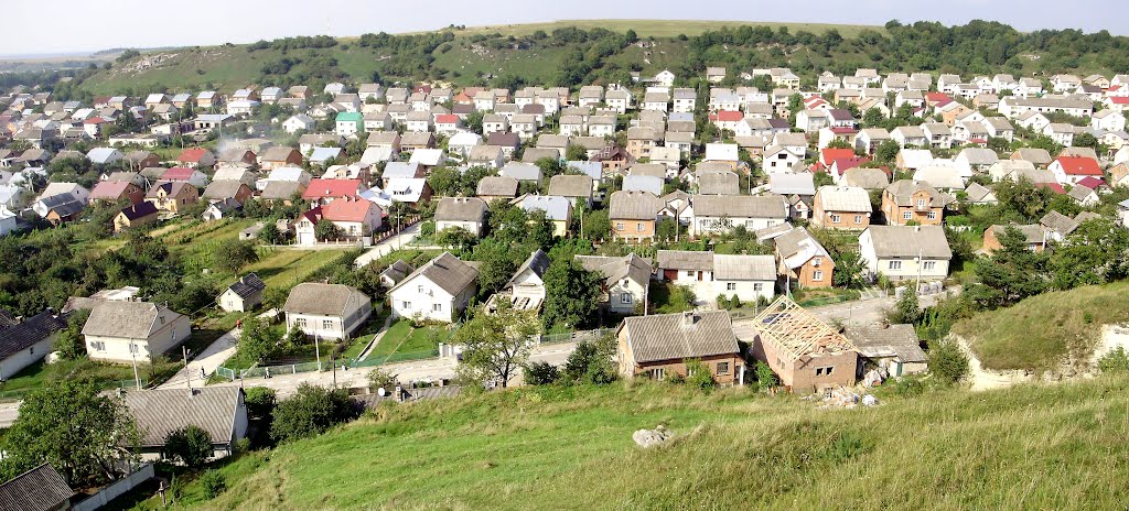 Миколаїв.Радів.Виріз із панорами