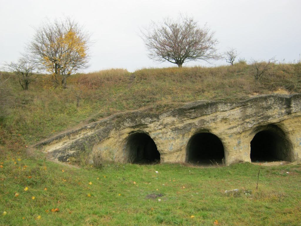 Комплекс язичних храмів (complex of pagans temples)