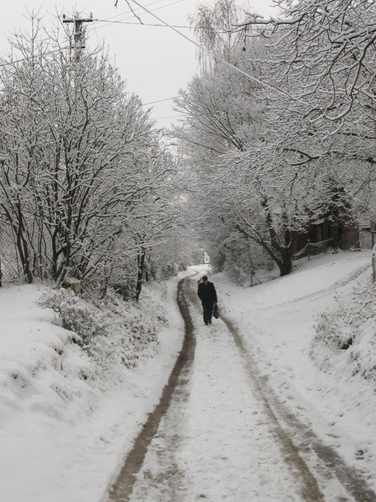 I.Franko street