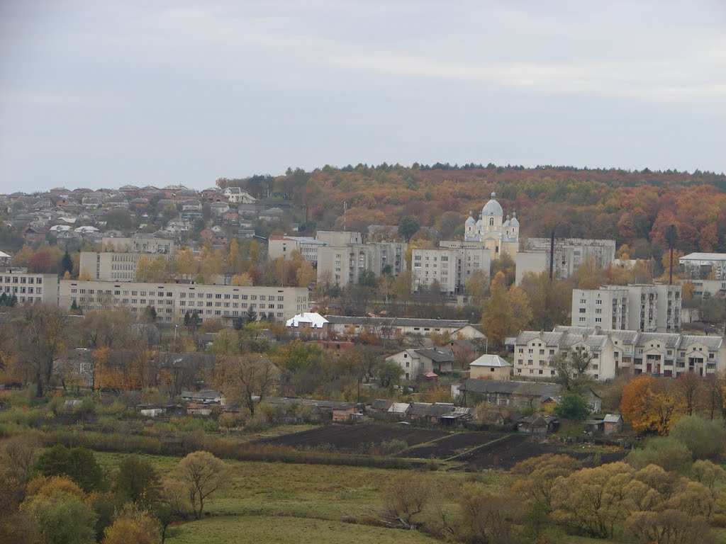 Вид на Перемишляни