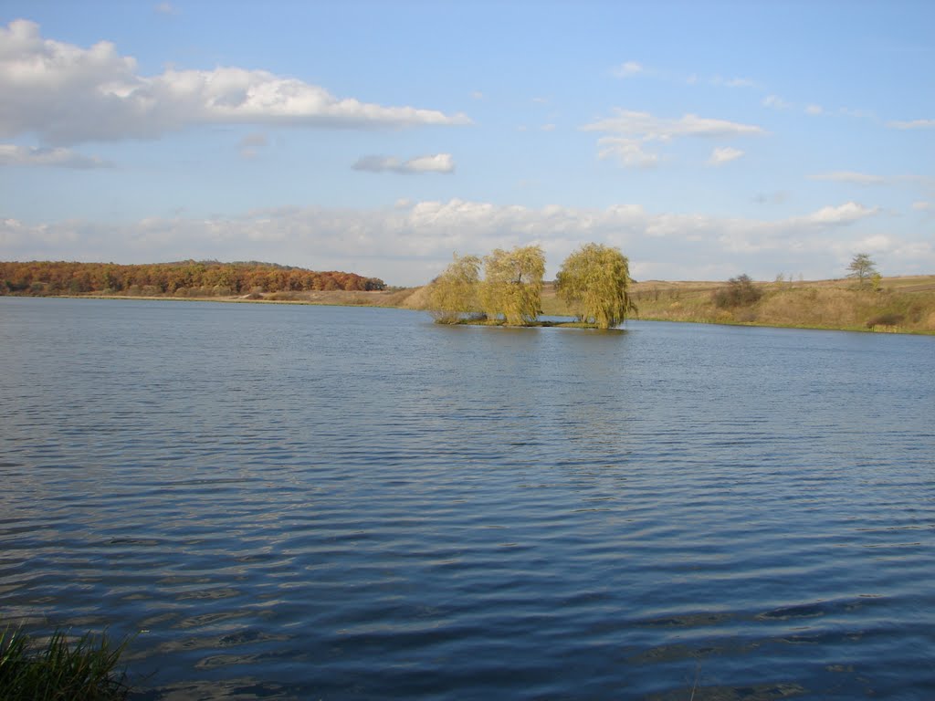 Перемишлянське озеро