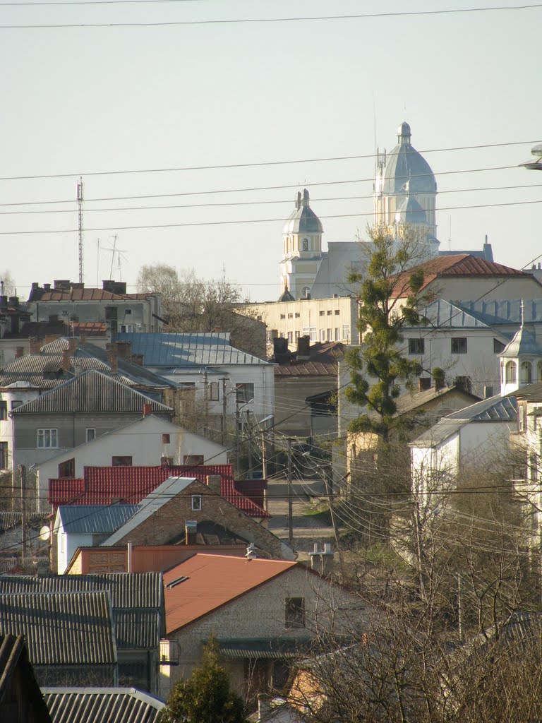 Вид на місто з костела