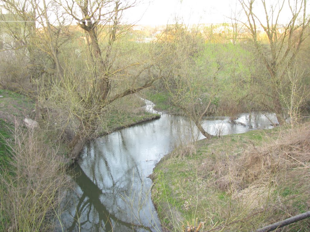 Річка Гнила Липа в Перемишлянах