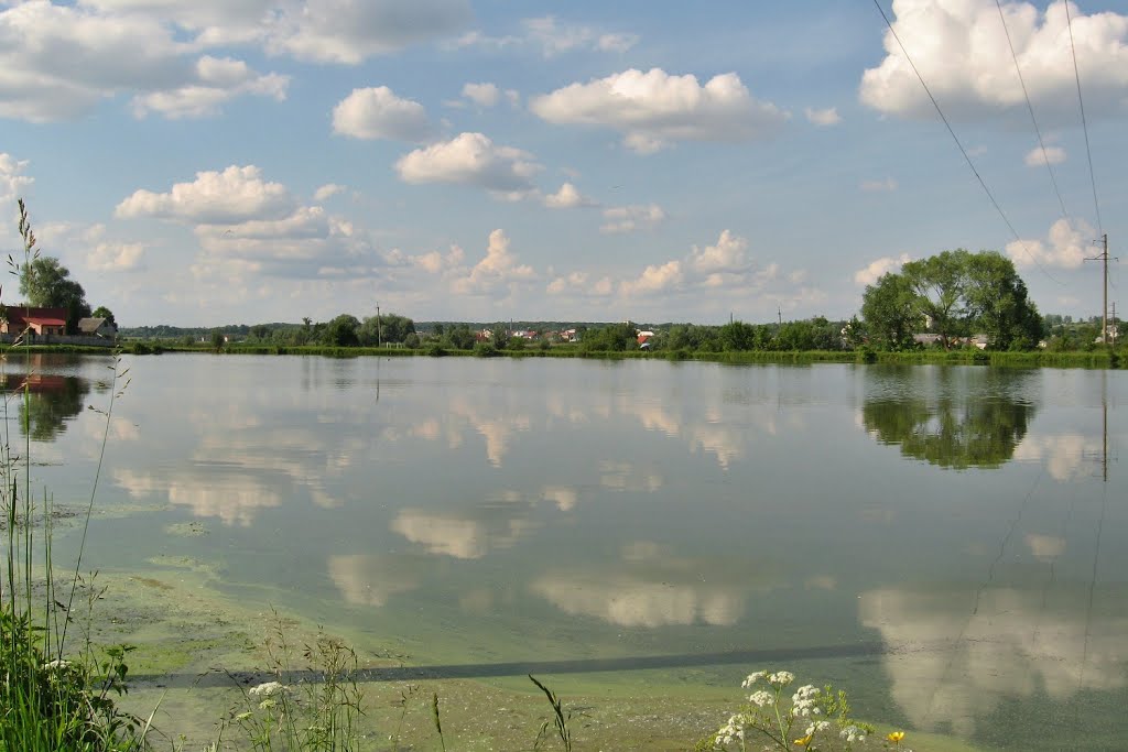 ставок в Лісневичах