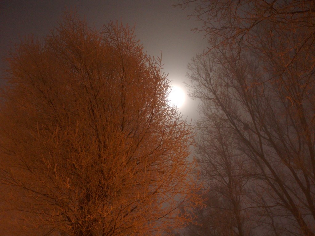 Зимовий вечір в Пустомитах - Moonlight over Pustomyty