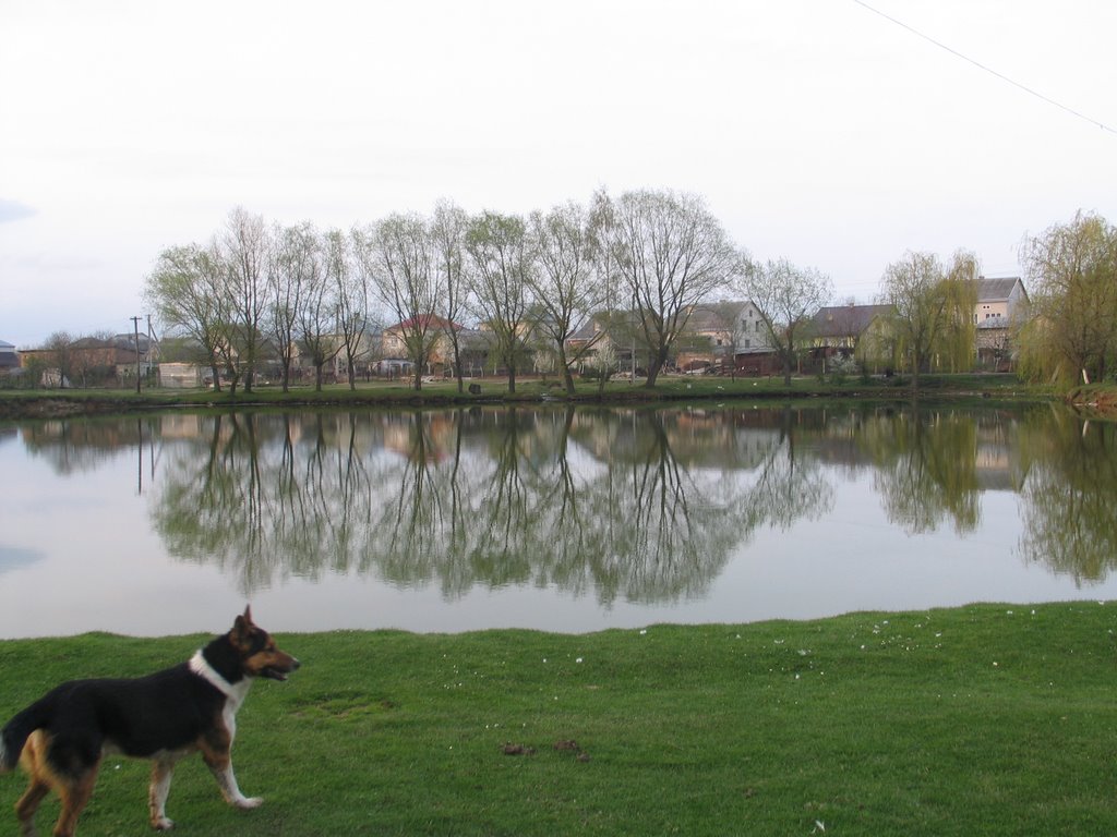 Ozero and Rex...)))