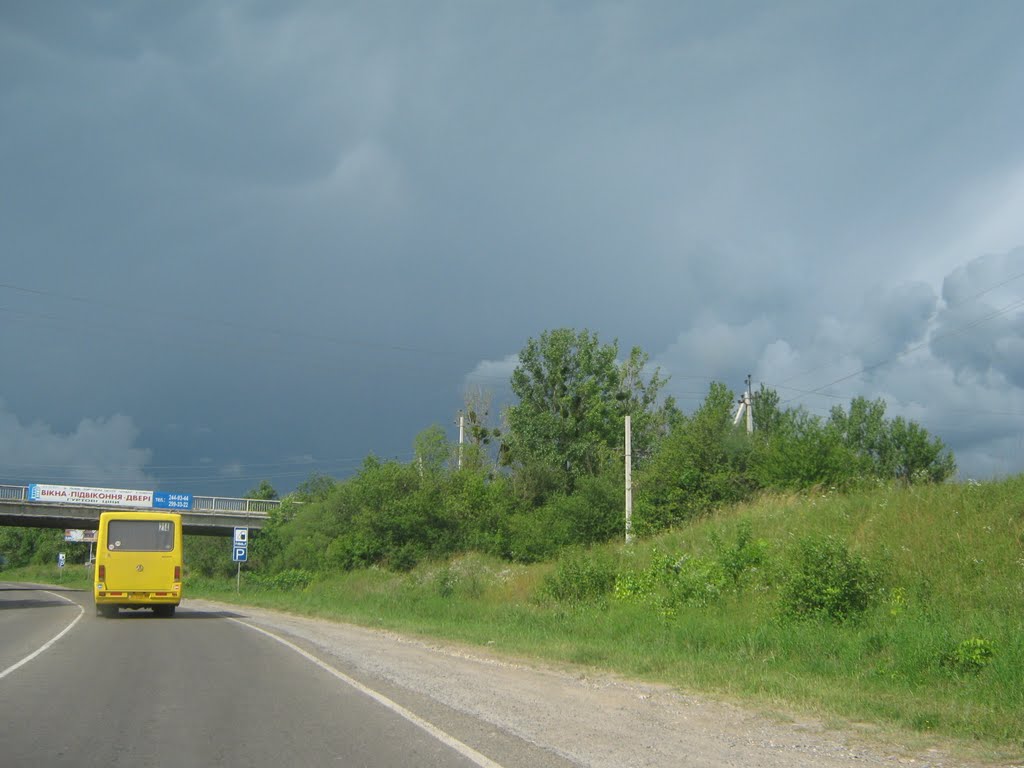 Пустомити