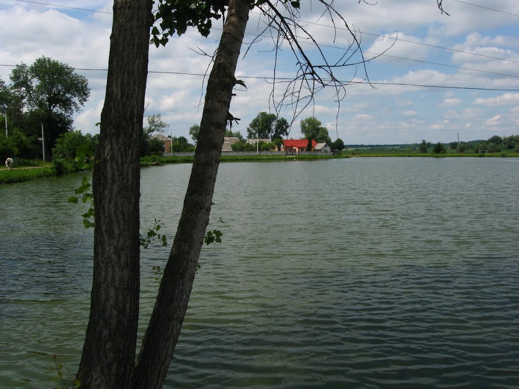 ►Водойма в Пустомитах