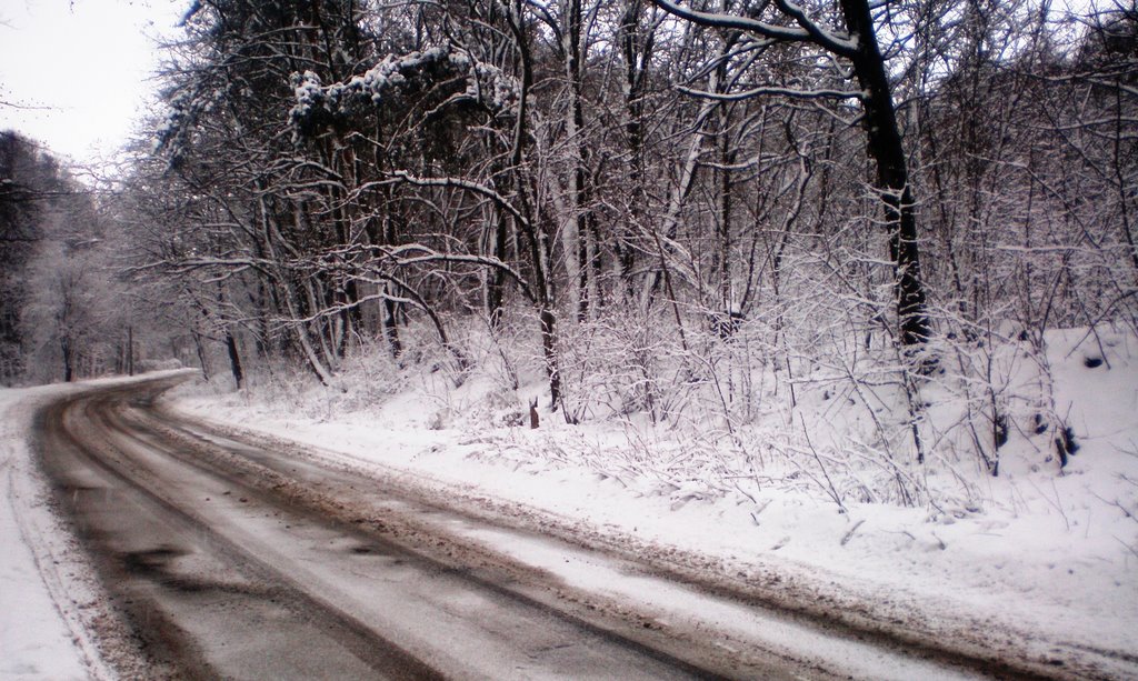 Дорога до лікарні