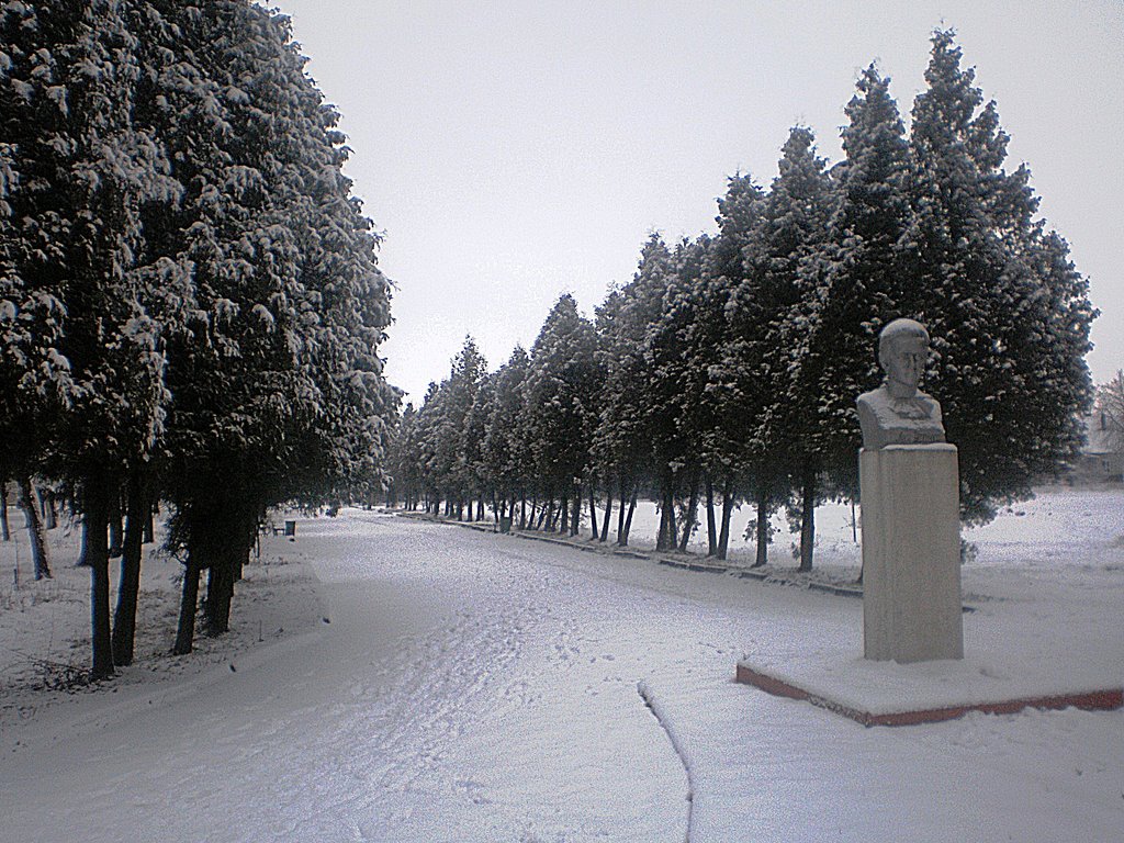 Памятник Лесі Українці взимку