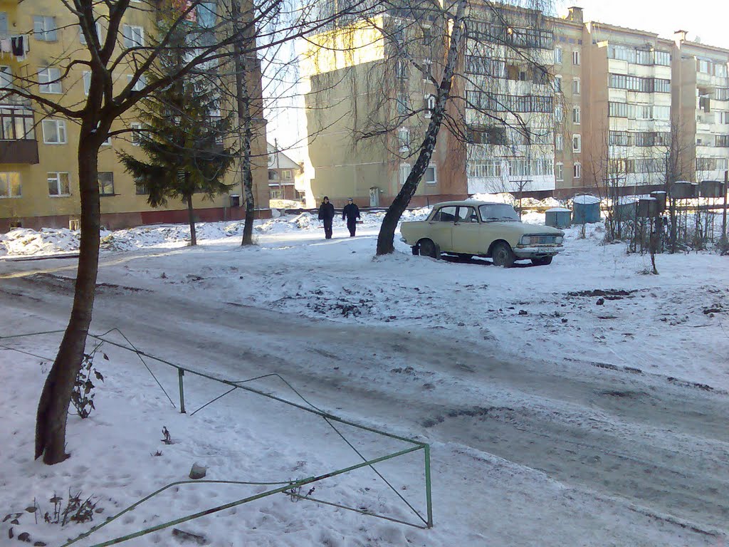 "Досы" зимой
