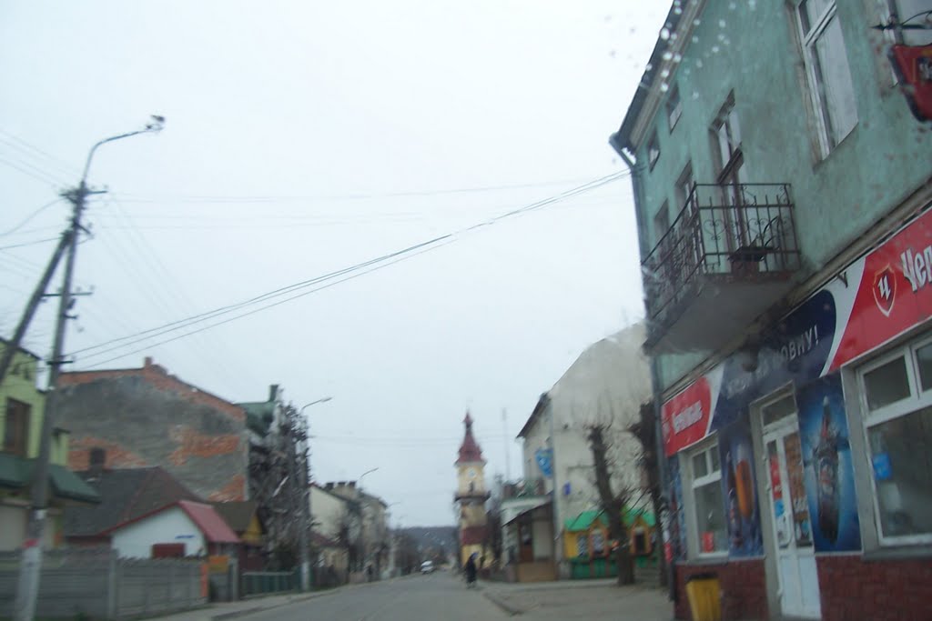 Rawa Ruska - panorama